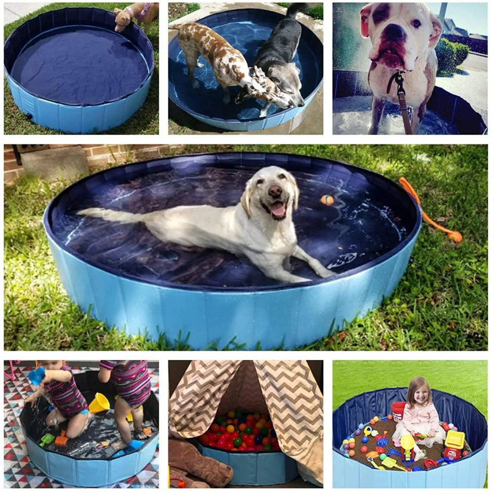 Dog Swimming Pool
