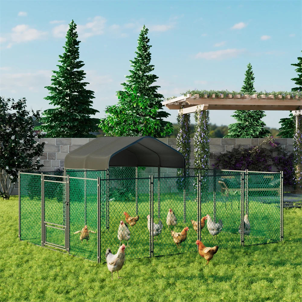 Heavy Duty XXL Chicken Coop