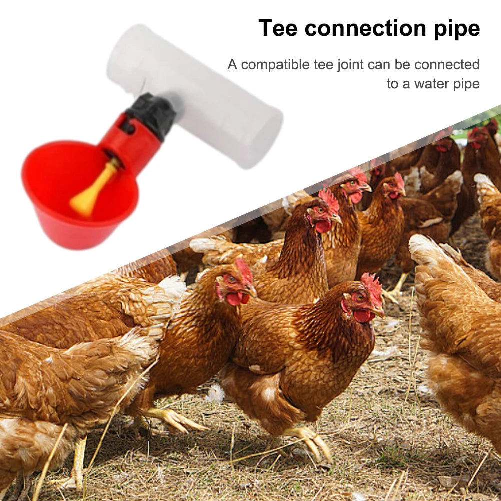 Drinking Tee Connector for Chicken