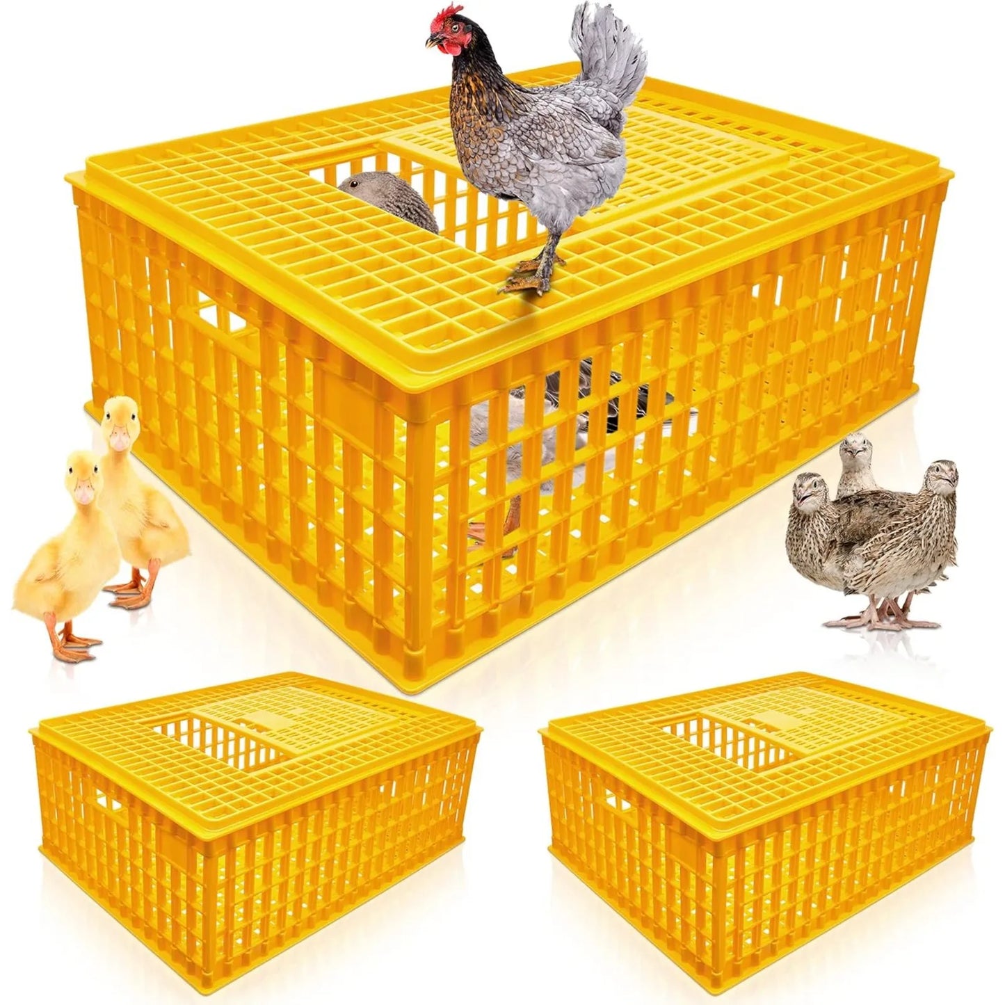 Poultry Carrier Crate