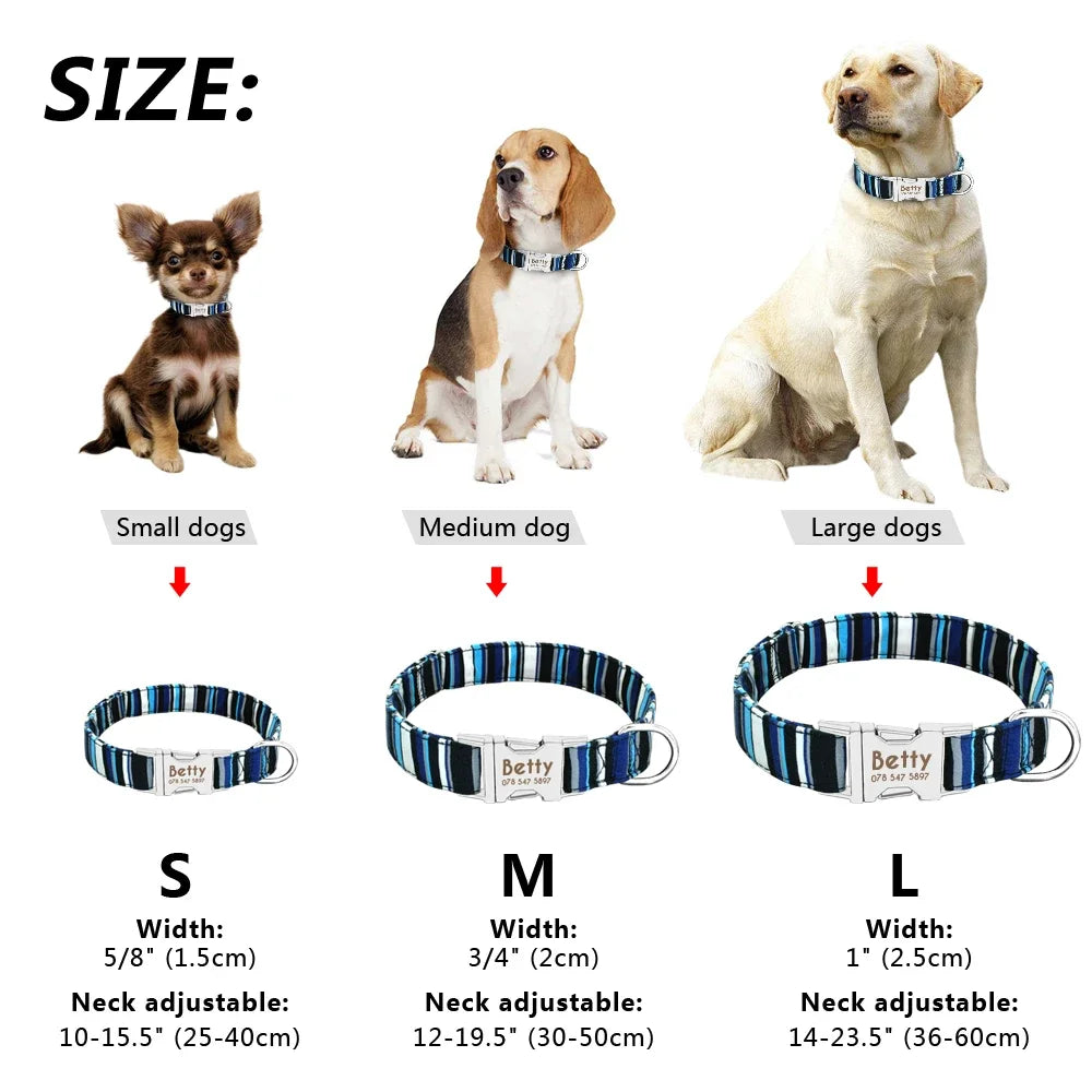 Personalized Dog Collar