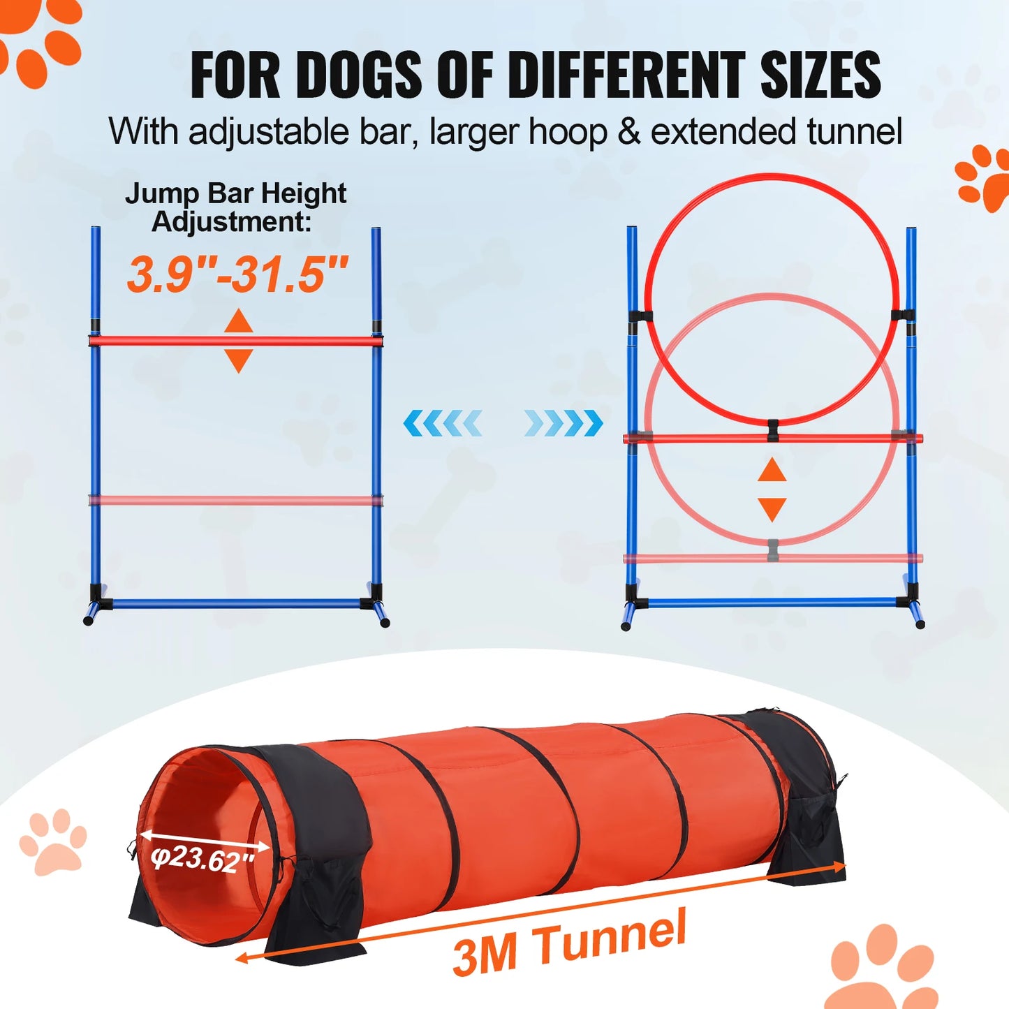 Dog Agility Training Equipment