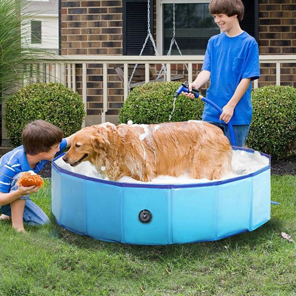 Dog Swimming Pool