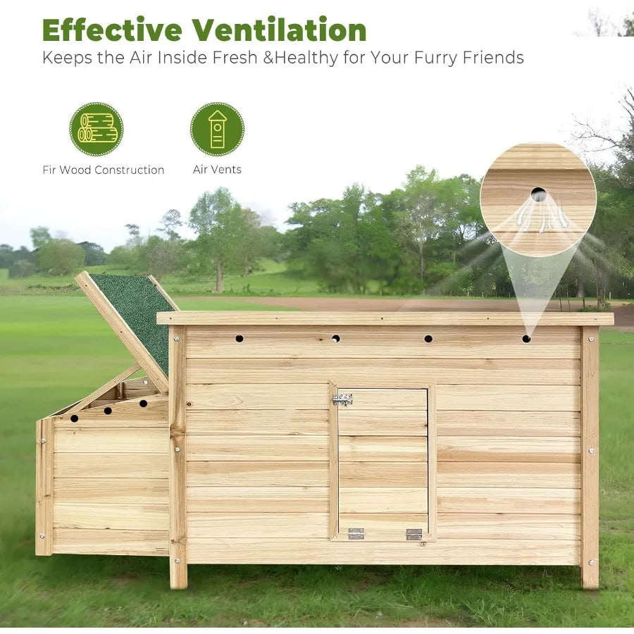 Outdoor wooden chicken coop with double nesting boxes and ramp.