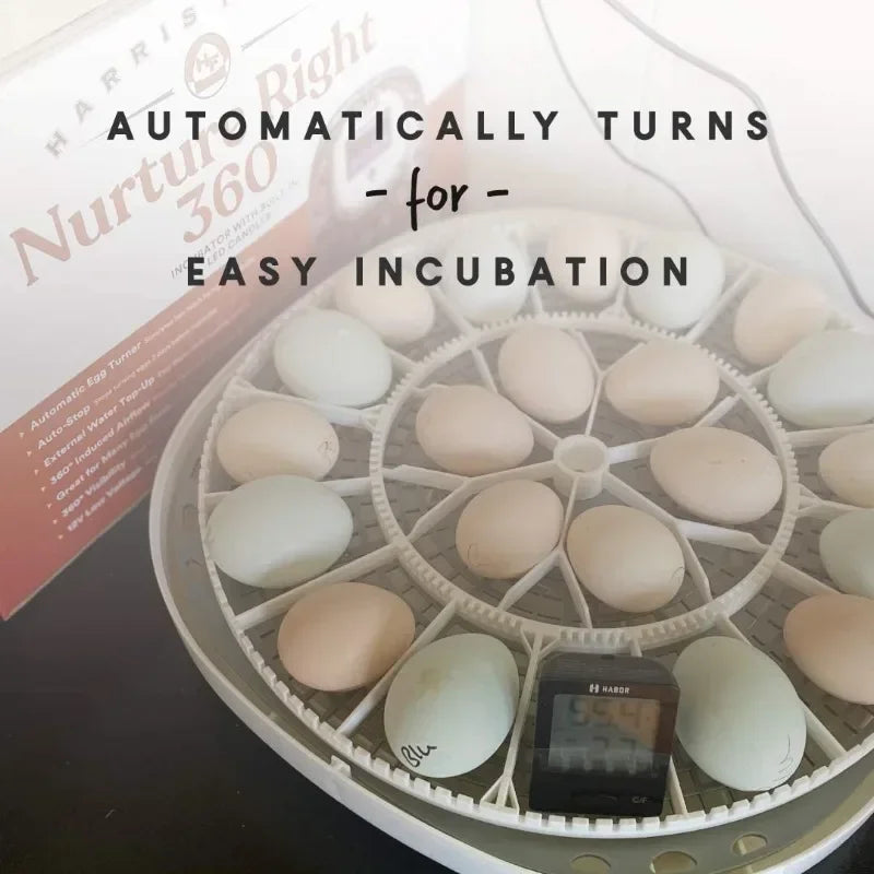 Nurture Right Egg Incubator for Hatching Chicks - Holds 22 Eggs - Automatic Egg Turner with Temperature and Humidity