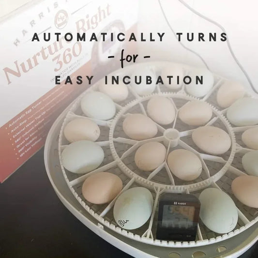 Nurture Right Egg Incubator for Hatching Chicks - Holds 22 Eggs - Automatic Egg Turner with Temperature and Humidity