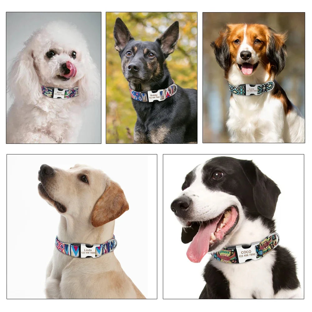 Personalized Custom Dog Collar