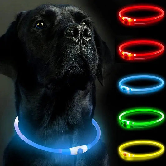 LED Dog Collar