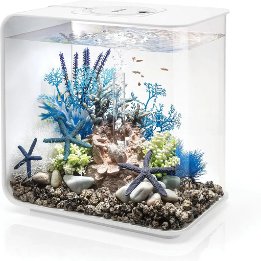 Acrylic 8-Gallon Aquarium with White LED Lights