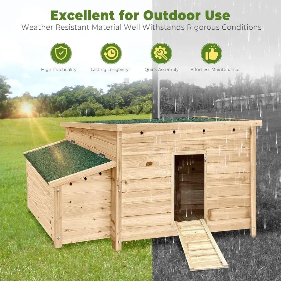 Outdoor wooden chicken coop with double nesting boxes and ramp.