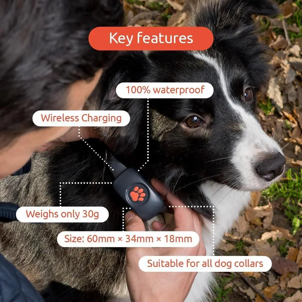 GPS Tracker for Dogs