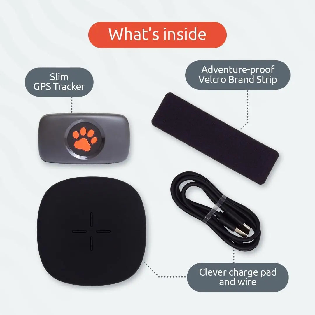 GPS Tracker for Dogs