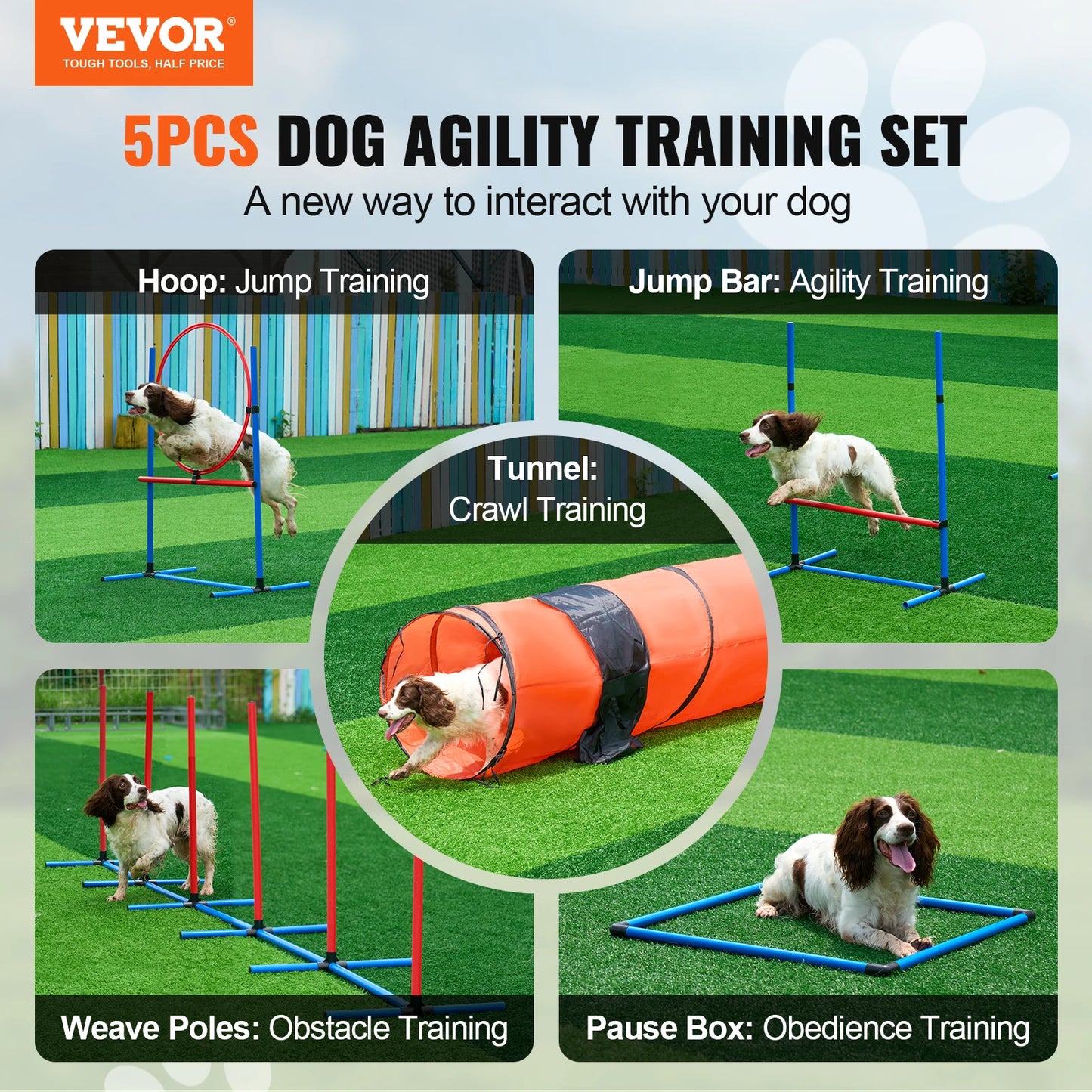 Dog Agility Training Equipment