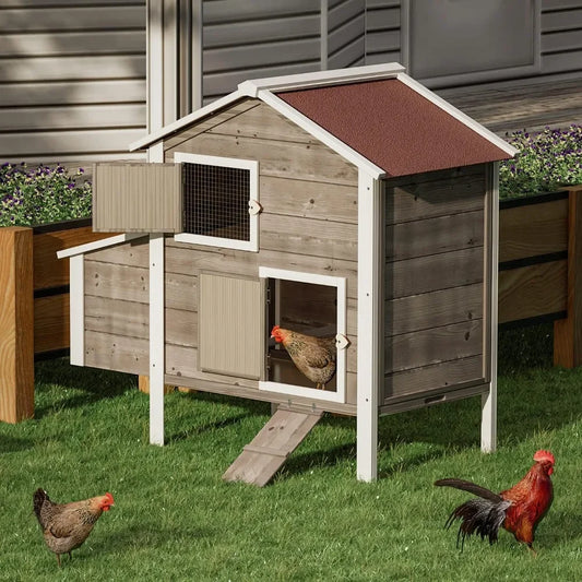 Chicken Coop