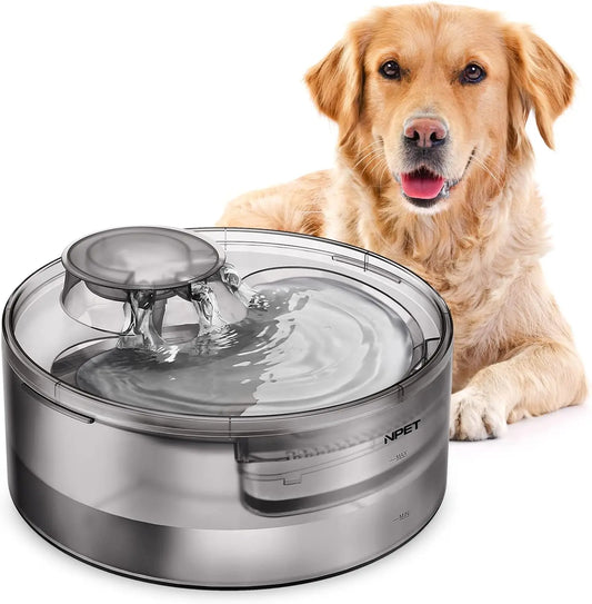 Dog Water Fountain