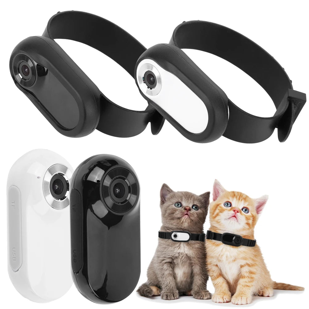 Pet Camera Collar