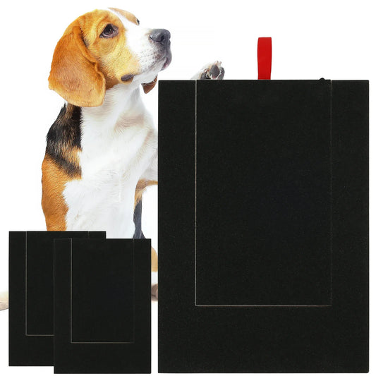 Dog Scratch Board  with Built-in Snack Box