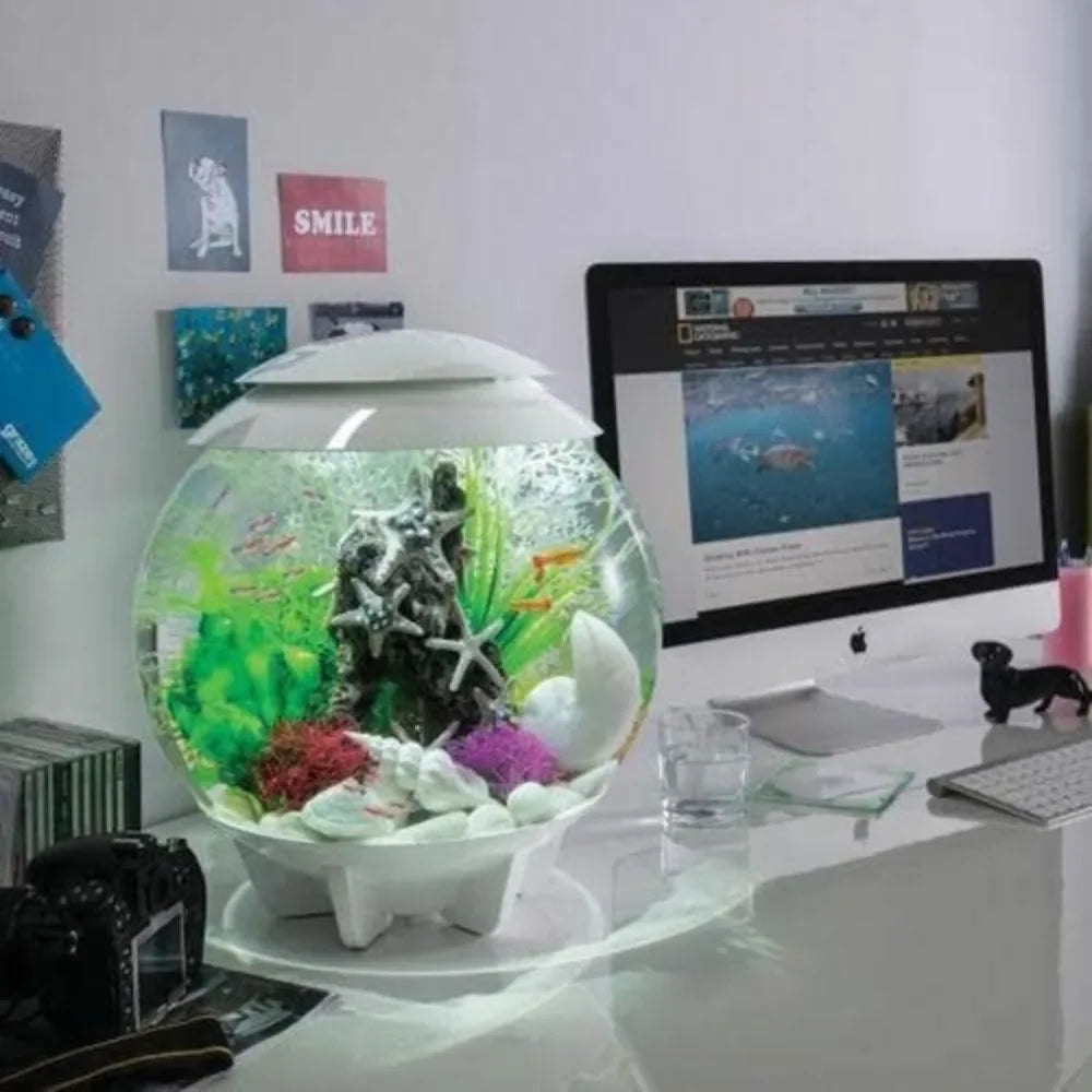 8-Gallon Aquarium with Multi-Color Remote-Controlled LED Lights